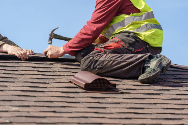 Best Roof Gutter Cleaning  in Saltville, VA
